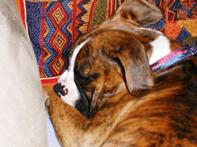 Abbey_16wks28
