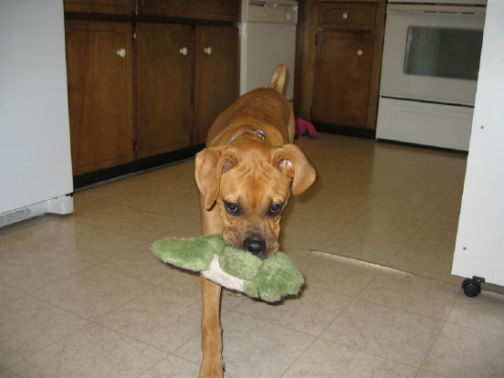 Abbie with Froggie.