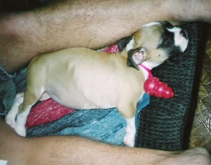 Abby - 8 weeks