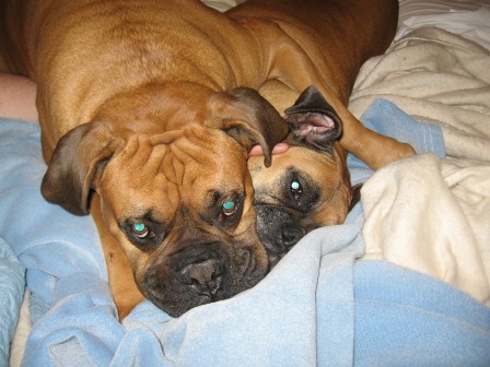 Abby and Baxter