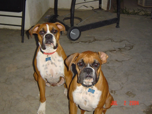 Abby and Lulu