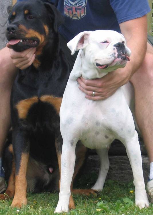 Abby & Crash