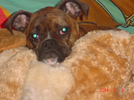 abby cuddling