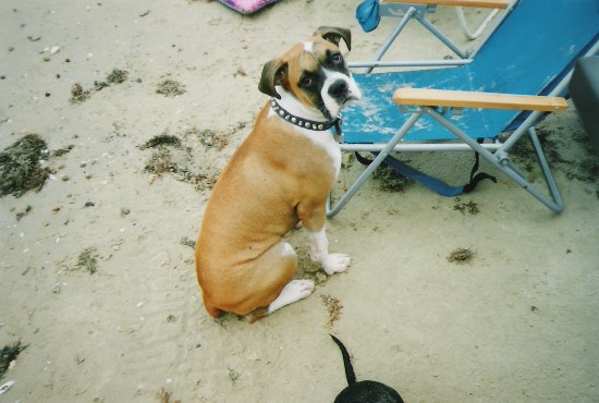 Abby Gayle - May 12, 2006