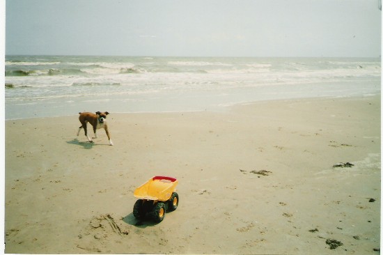 Abby ... having a blast at the beach!