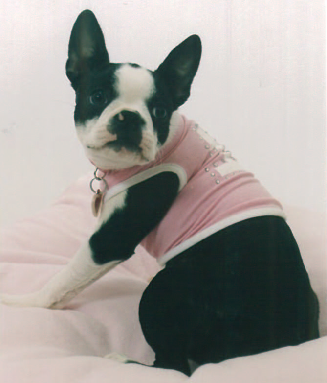 Abby in her #1 T-Shirt