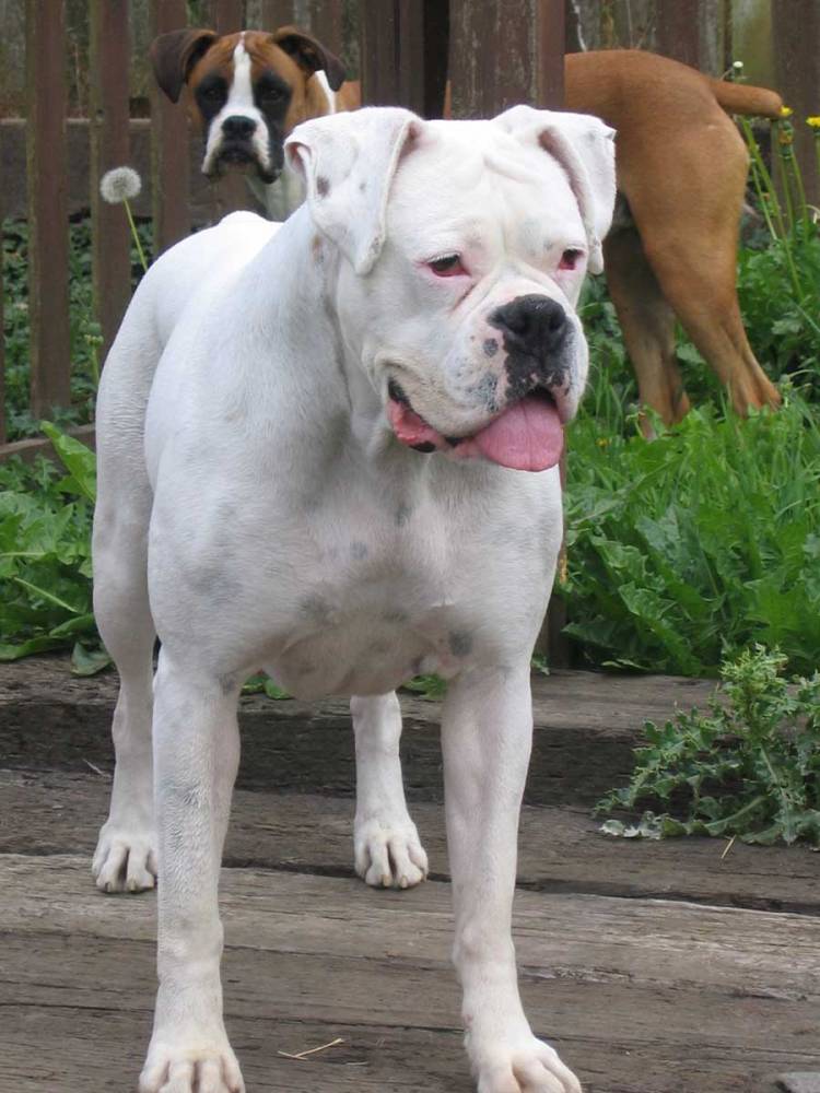 Abby & Tyson