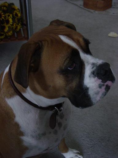 Abby
