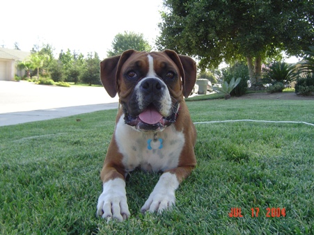 Abby