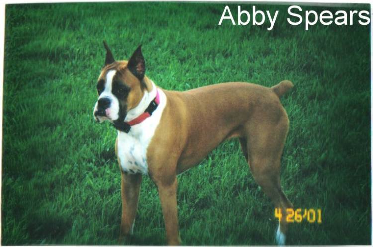Abby