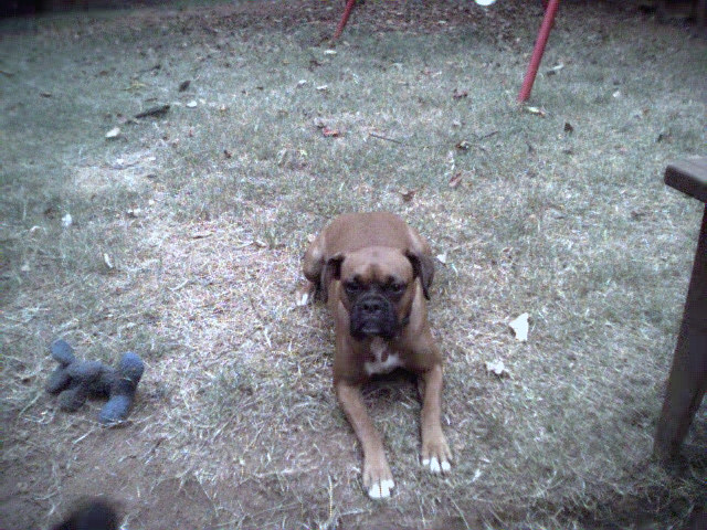 Abby