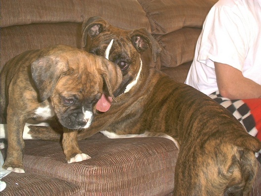 Abby_and_new_baby_boy_jpg