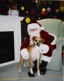 Abby_with_Santa