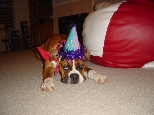 Abby's first birthday