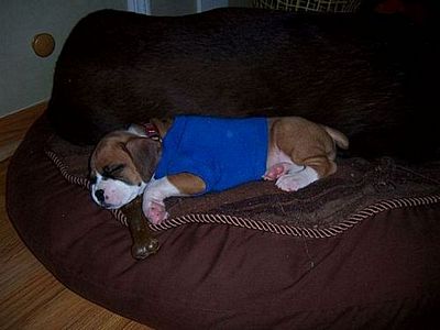 Abby's first day
