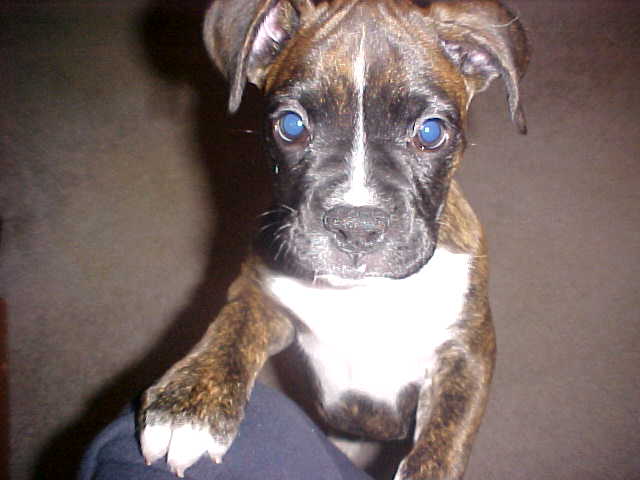 abey looking for a handout