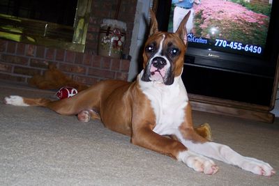 Abigail @ 6 months old.. she's a big girl now