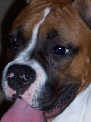 Abigail_close_up