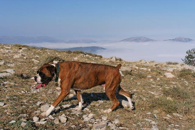 Above the clouds