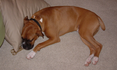Absolutely exhausted