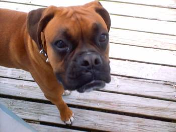 Ace - I Luv You!