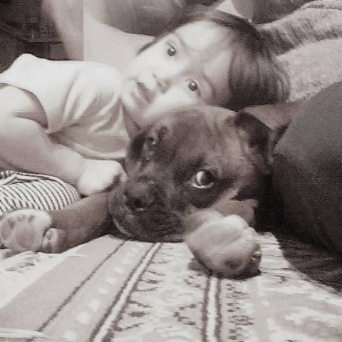 Ace & Pal