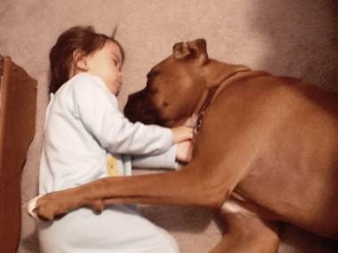 Ace - Sleep Buddies