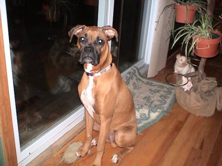 Ace wants to go out