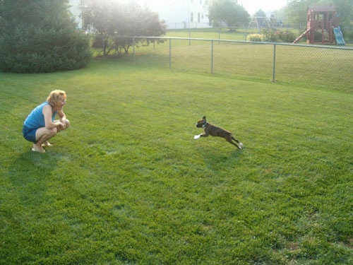 Action shot
