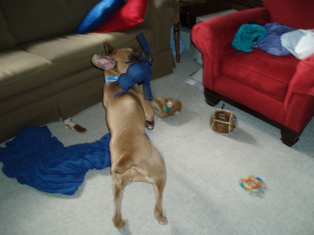 action shot