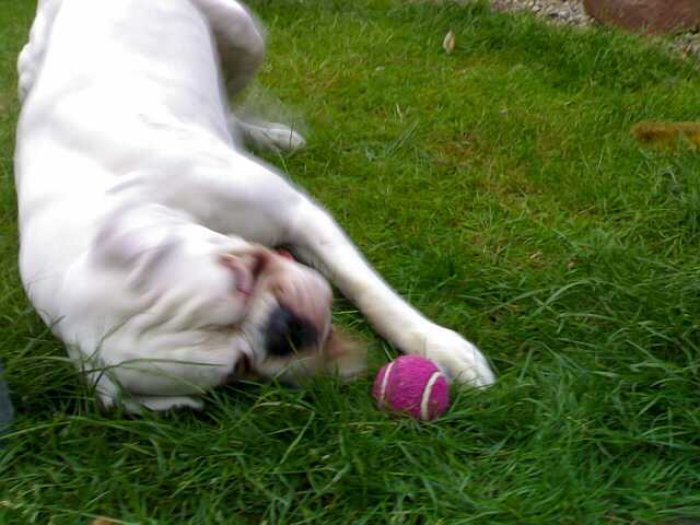 Action shot