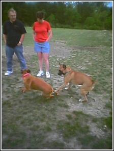 Action shot