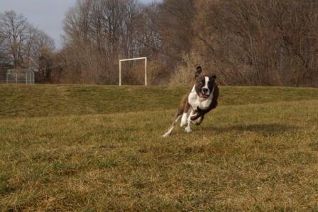 Action shot