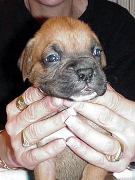 Addelaide at 3 weeks.