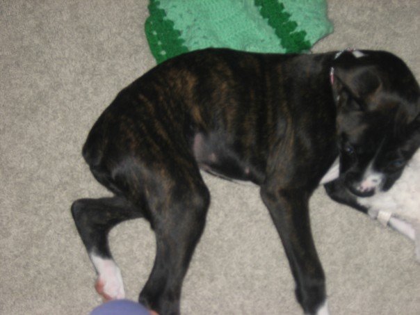 Addie