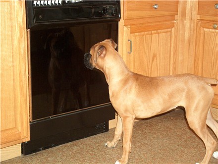 admiring my reflection