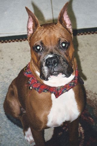 Adorable Cisco