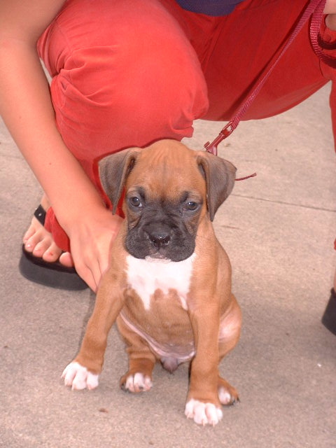 Adrian 6 wks. old