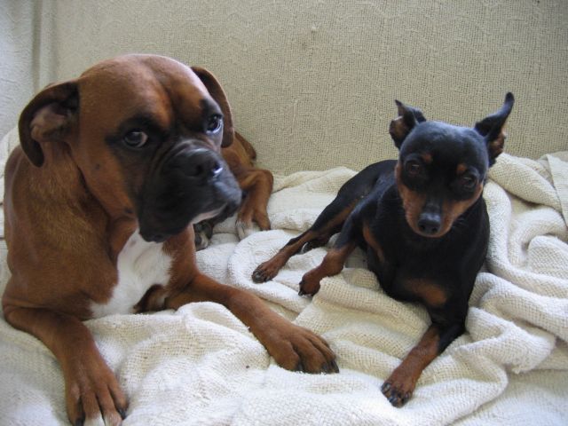 Adrian and Sage