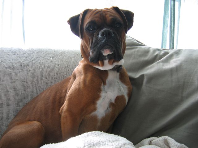 Adrian sitting pretty