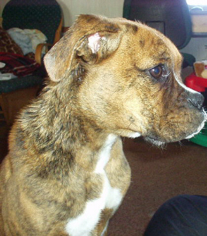 After a bath pictures
