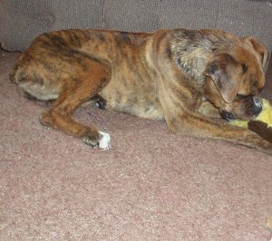 After a bath pictures