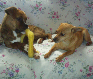 After a bath pictures