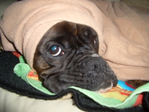 After a bath