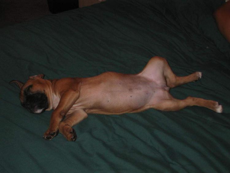 After a long day!