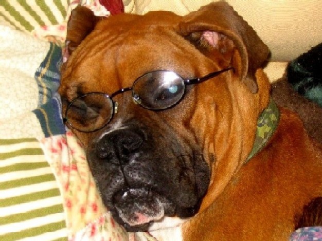 After a long night of studying