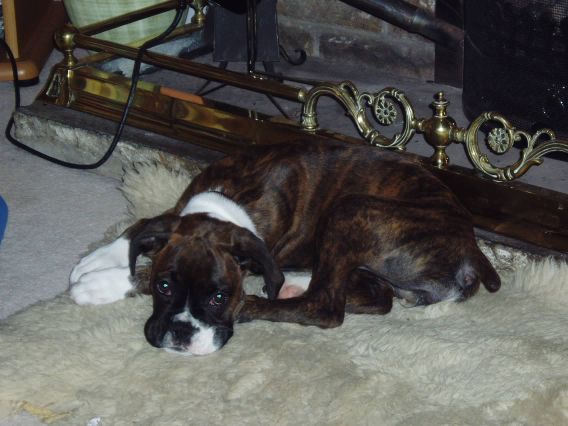 After her first walk on boxing day