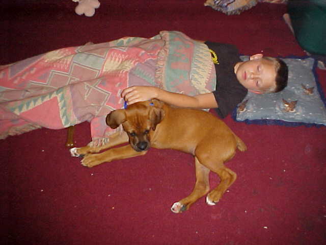 After popcorn & a good movie,comes sleep
