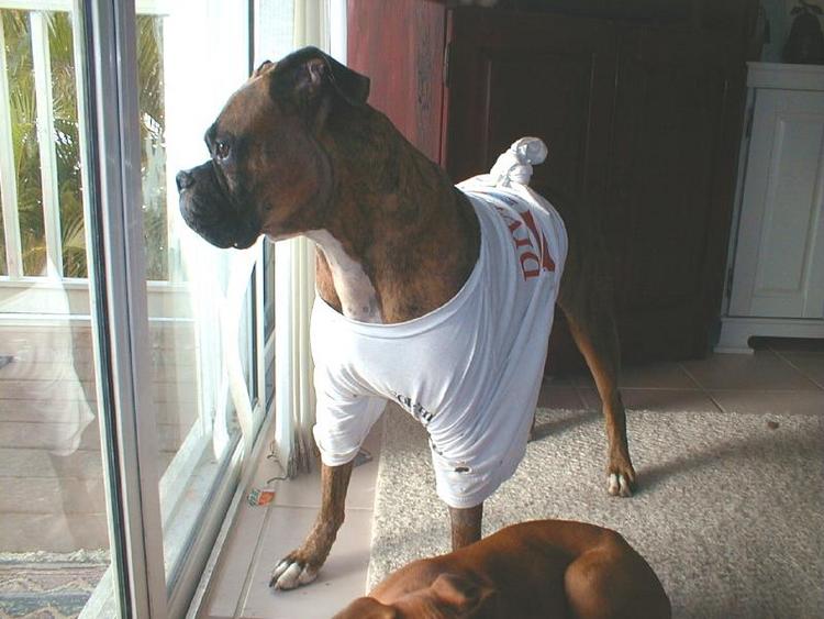 after surgury t-shirt