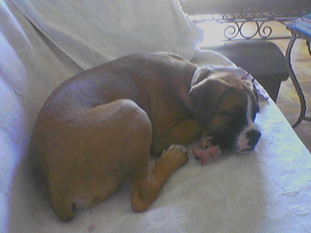 afternoon sleep
